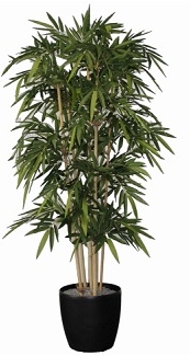 Groendeco bamboe De Luxe H210cm groen